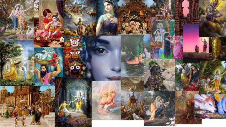 Shailesh S s