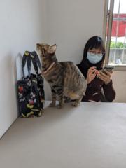 Chen Janice