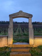 Благой Кузмански