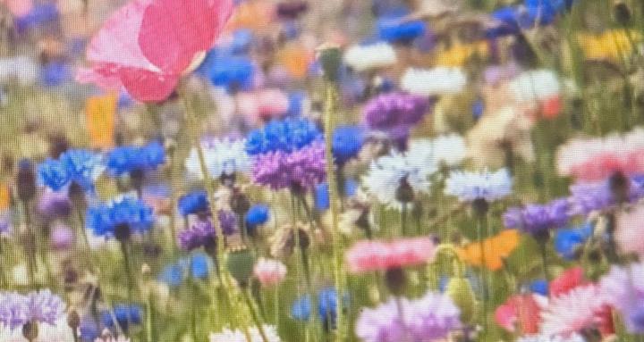 ★Chronic★Illness★Champions★