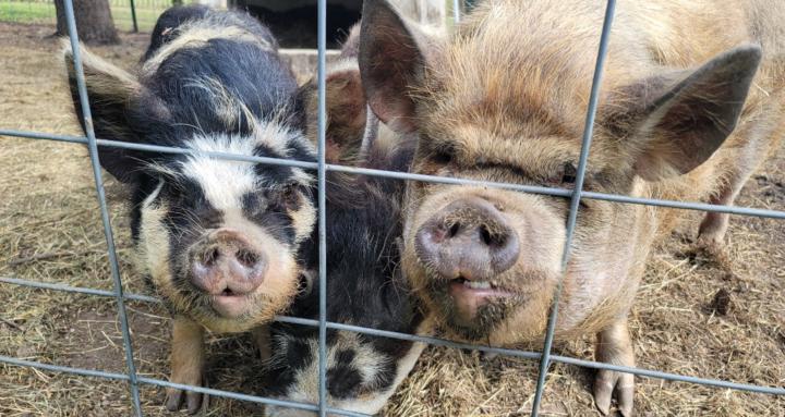 How did you know......?