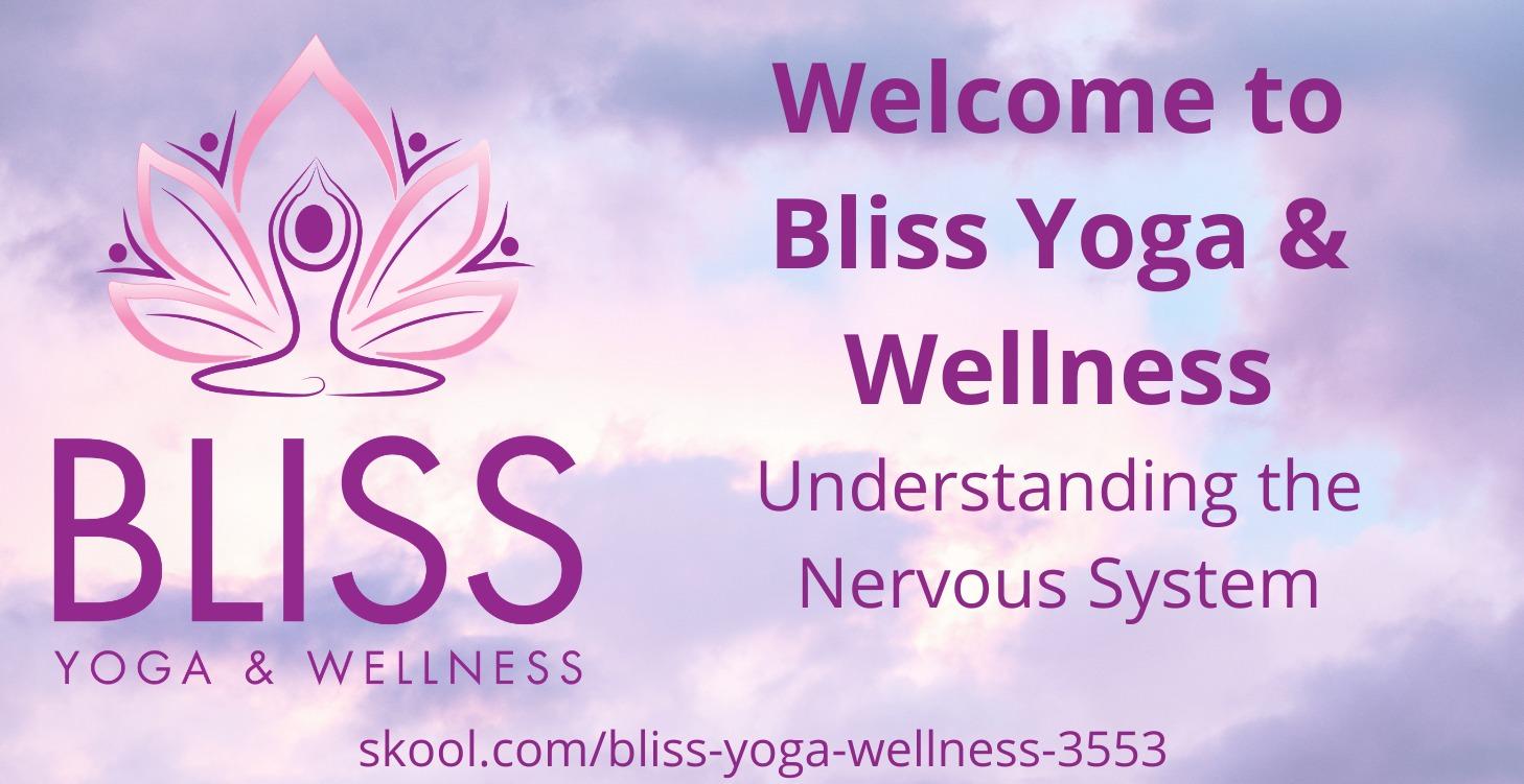 Understanding the Nervous System