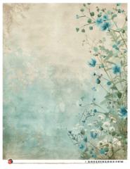 Janette Doyle