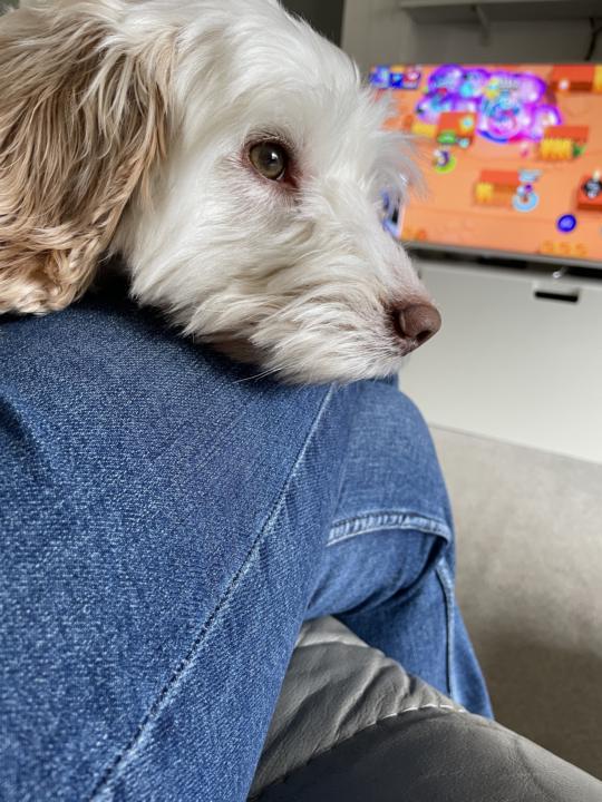 Got a pet?