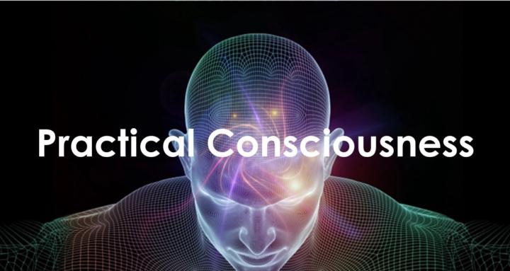 Practical Consciousness