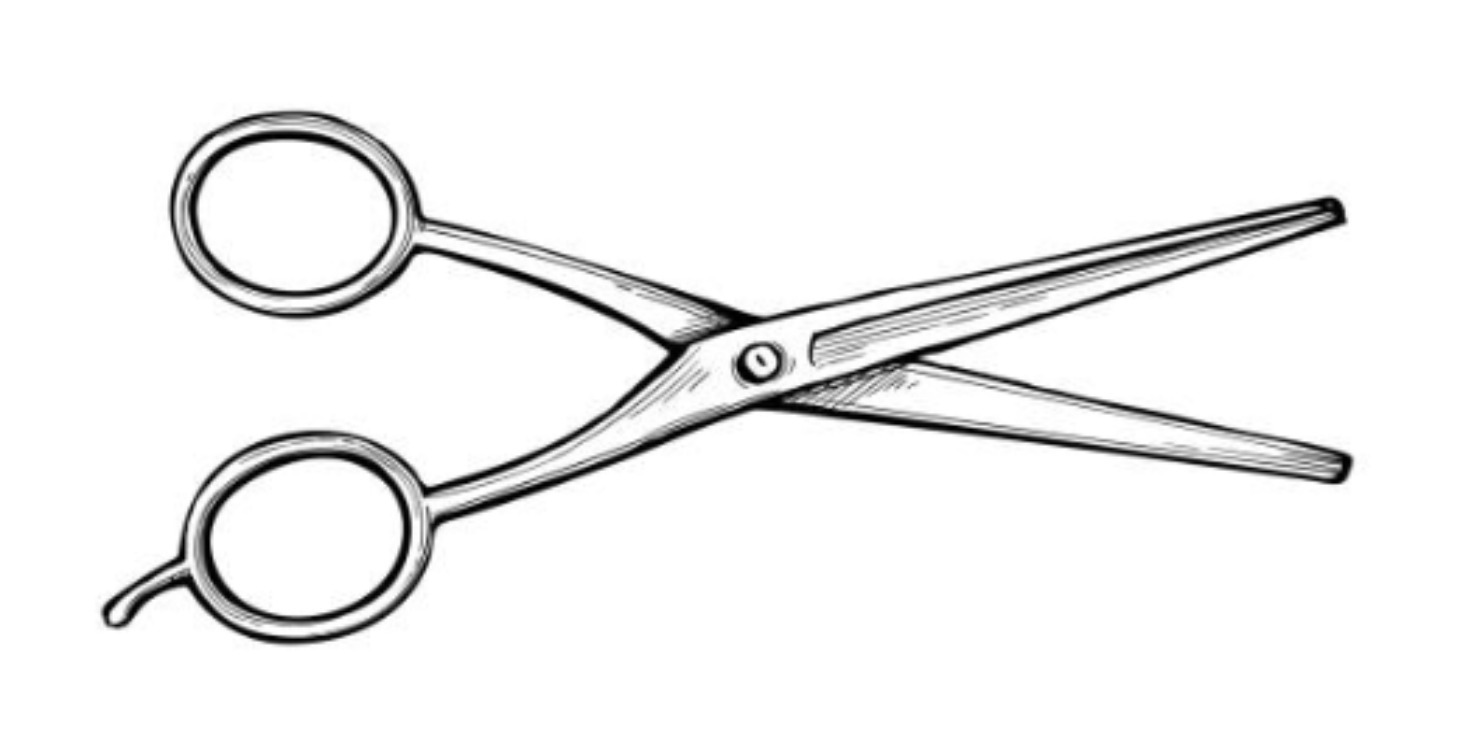 Professional Shears 101