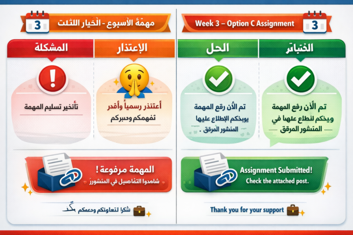  Week 3 | Task: Business Case Solution (Option C)