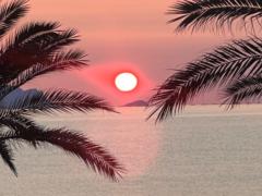 José Luis Navarro Jimenez