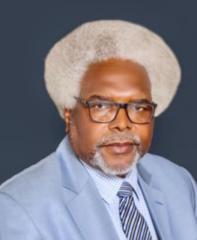 Mapanza Nkwilimba