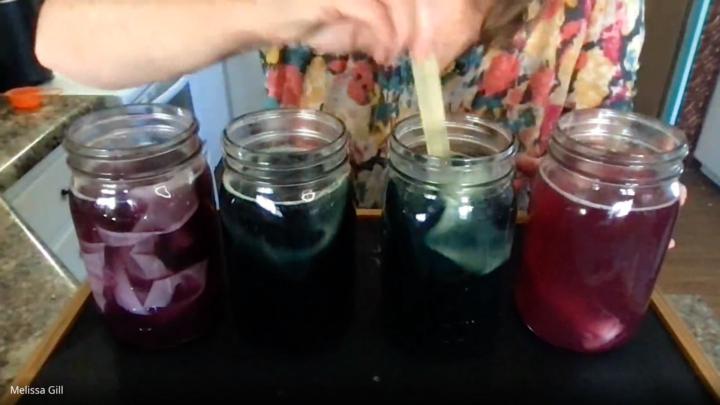 Have you watched the Natural Dye Workshop?