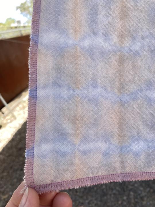 Interesting results from the red cabbage dye workshop!