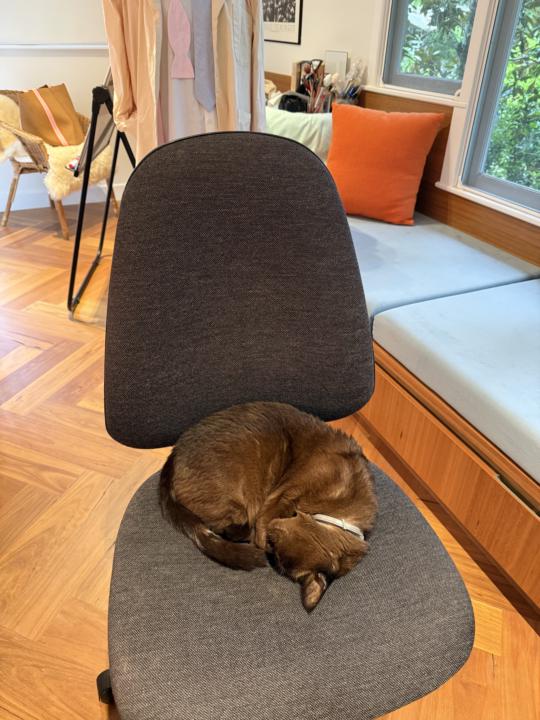 Who is keeping you company today?