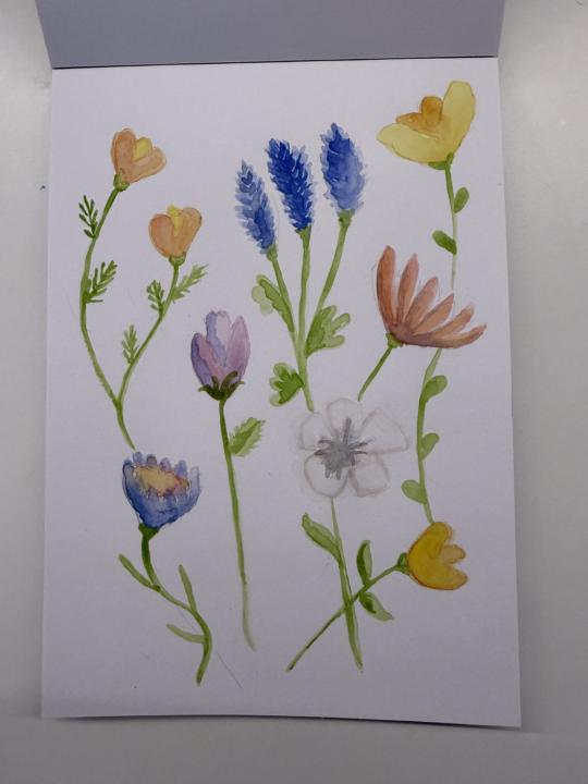 What was one thing you created this week? 