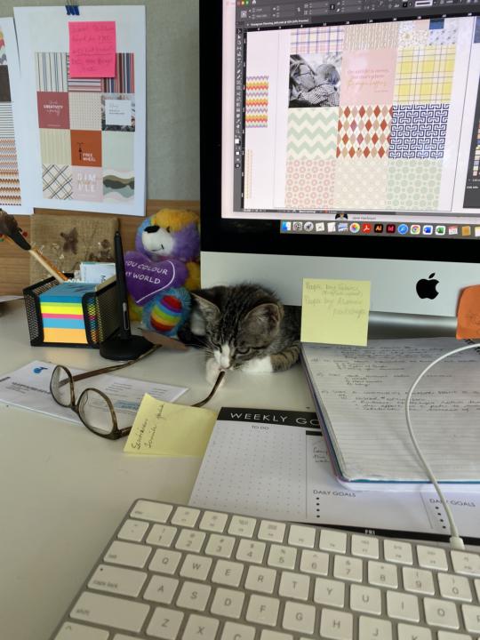 Share a pic of where you work