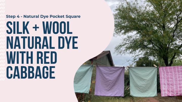 The Natural Dye Workshop is in the Classroom