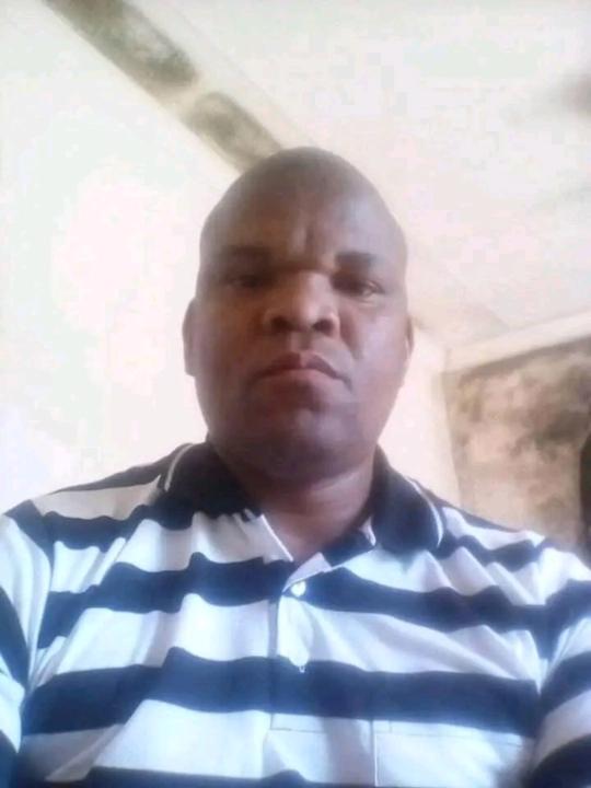 David Mooi