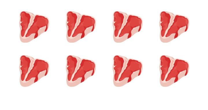 Carnivore Startti