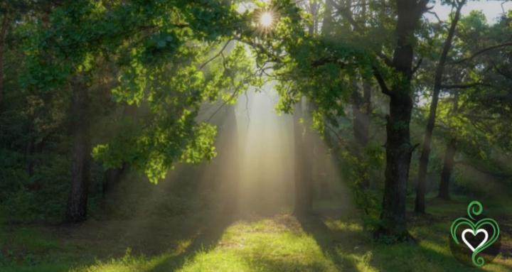 CONNECT: Self, Soul, & Spirit