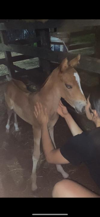 Yenifer González Espinosa