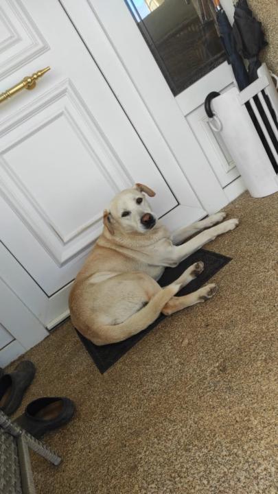 Alessia Méndez Pellegrino