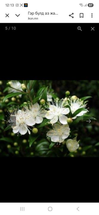 Chunagsuren Tserennadmid