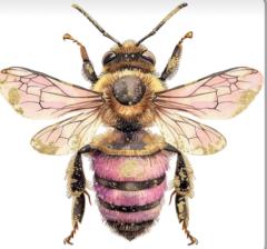 Honey Bee