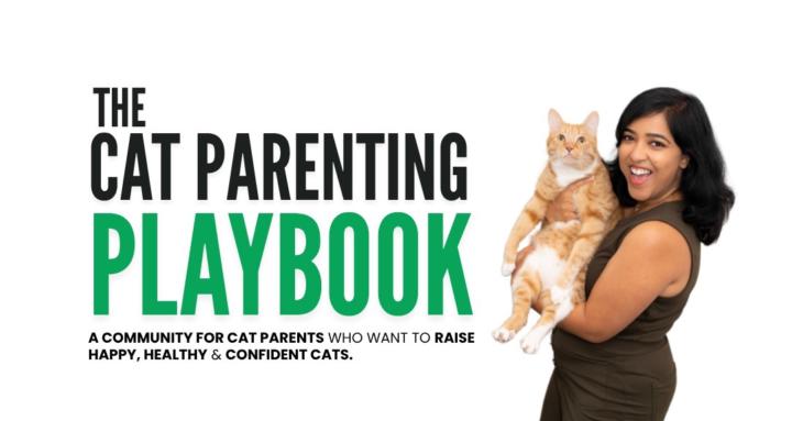 The Cat Parenting Playbook