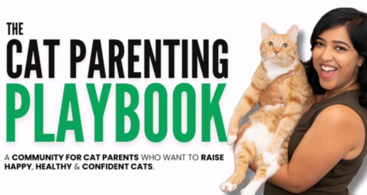 The Cat Parenting Playbook