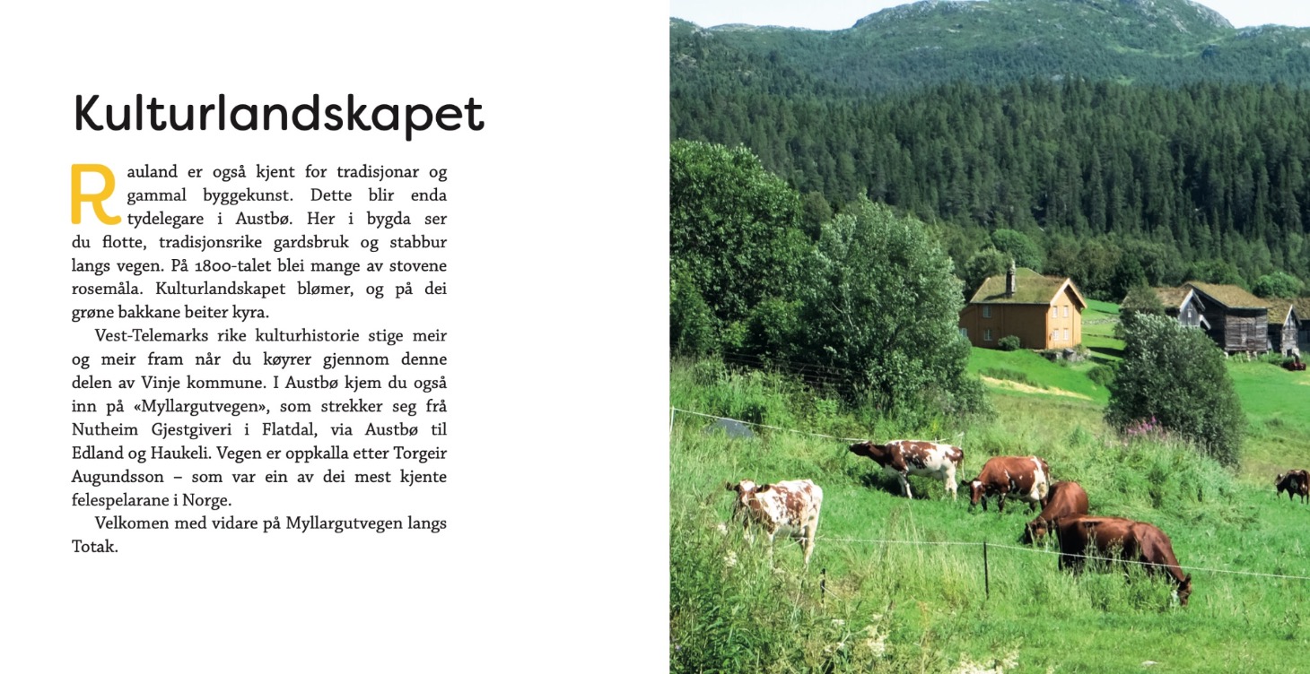 Designpakke: stor