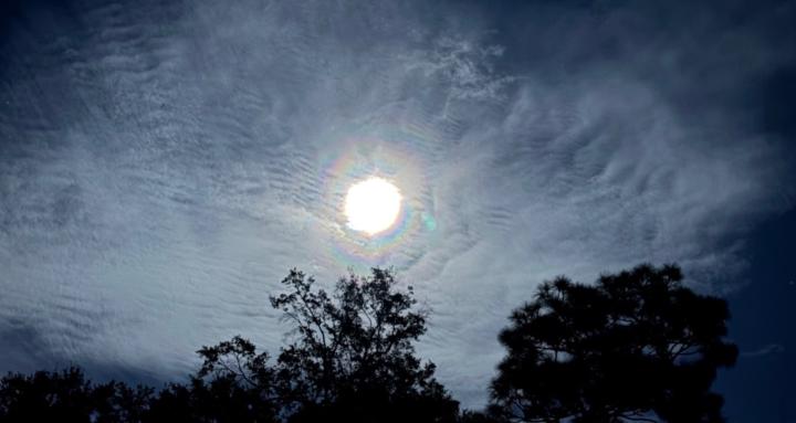 TaroZuul Card Readings