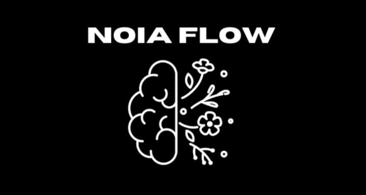 Noia Flow