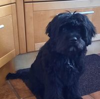 Claudia Faith-Horvath