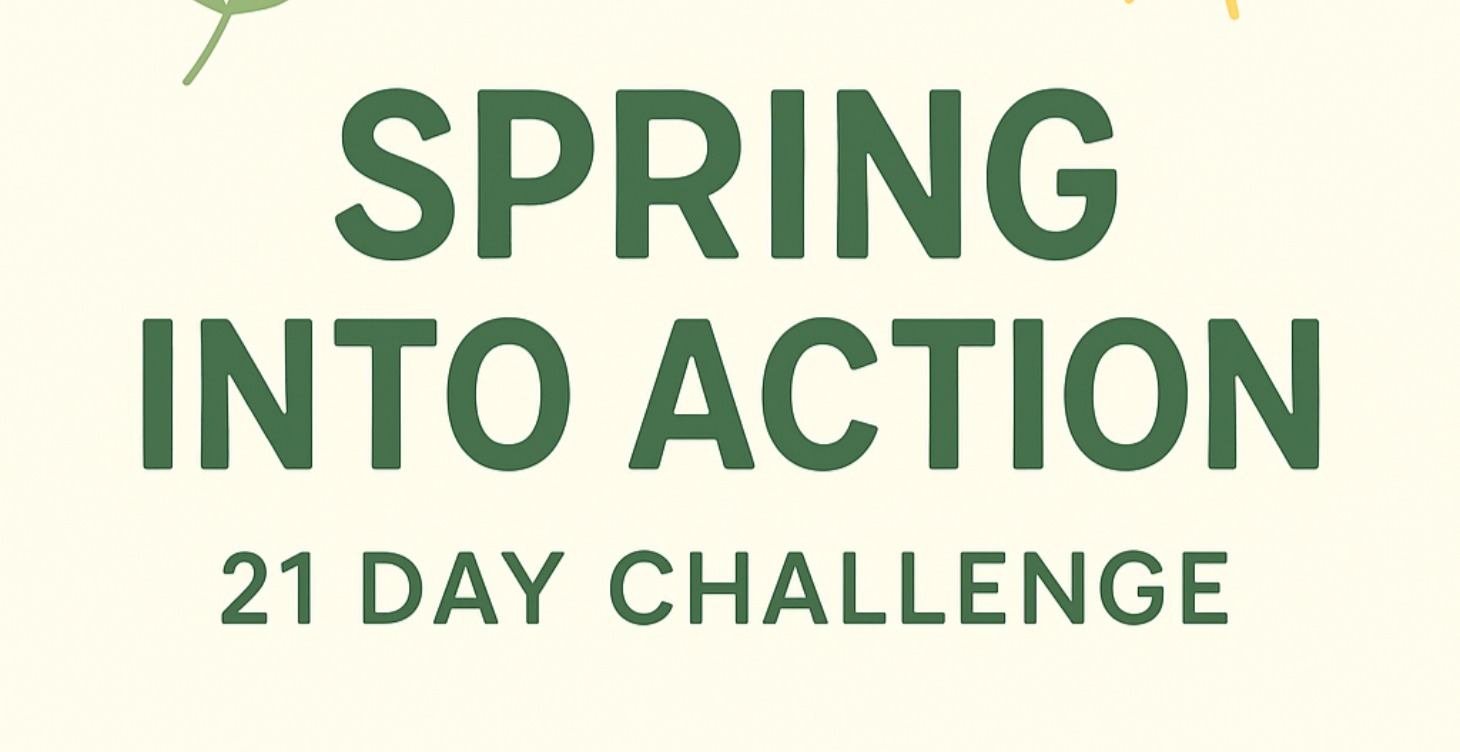 Spring into action (coming soon)🌼🌻🌺