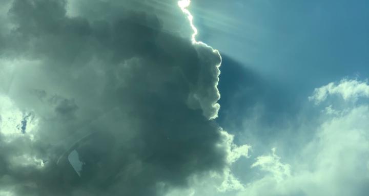 The Acolytes Book Corner