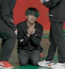 아파타 앵