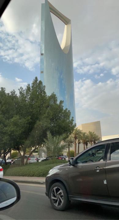 اميره نجيب