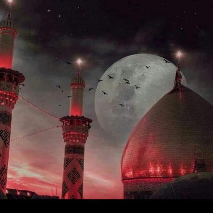 Muhammad Adnan Miraj