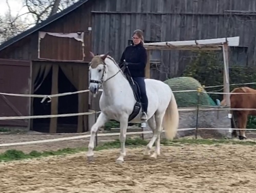 Verena Spitzenberger