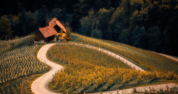 Hall of Homesteaders