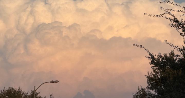 Biblical Discussion and study