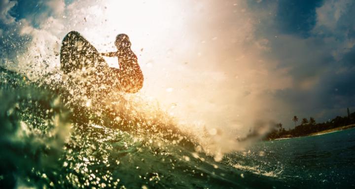 LifeSurfers ⭐️