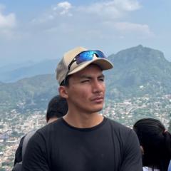 Alejandro Altamirano