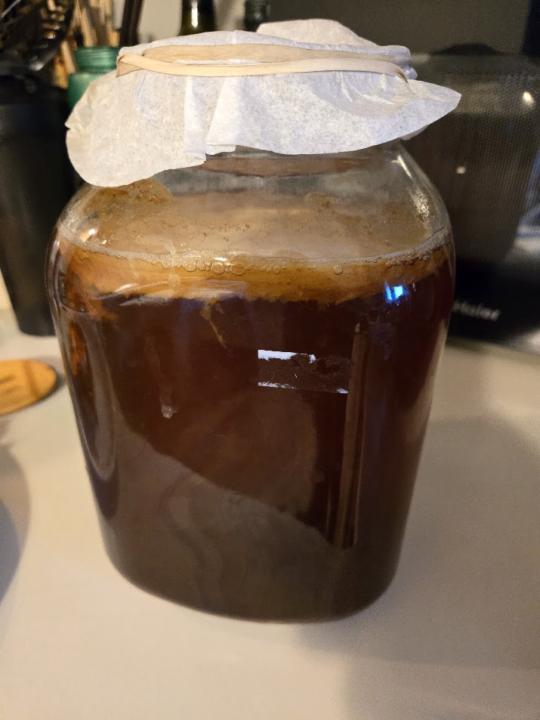 Scoby Pics