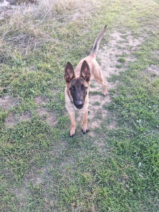 Σαβινα Καλαϊτζίδου