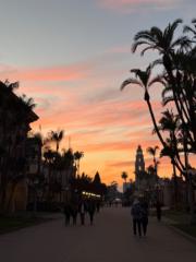 Sr. Mary Paul Friemel