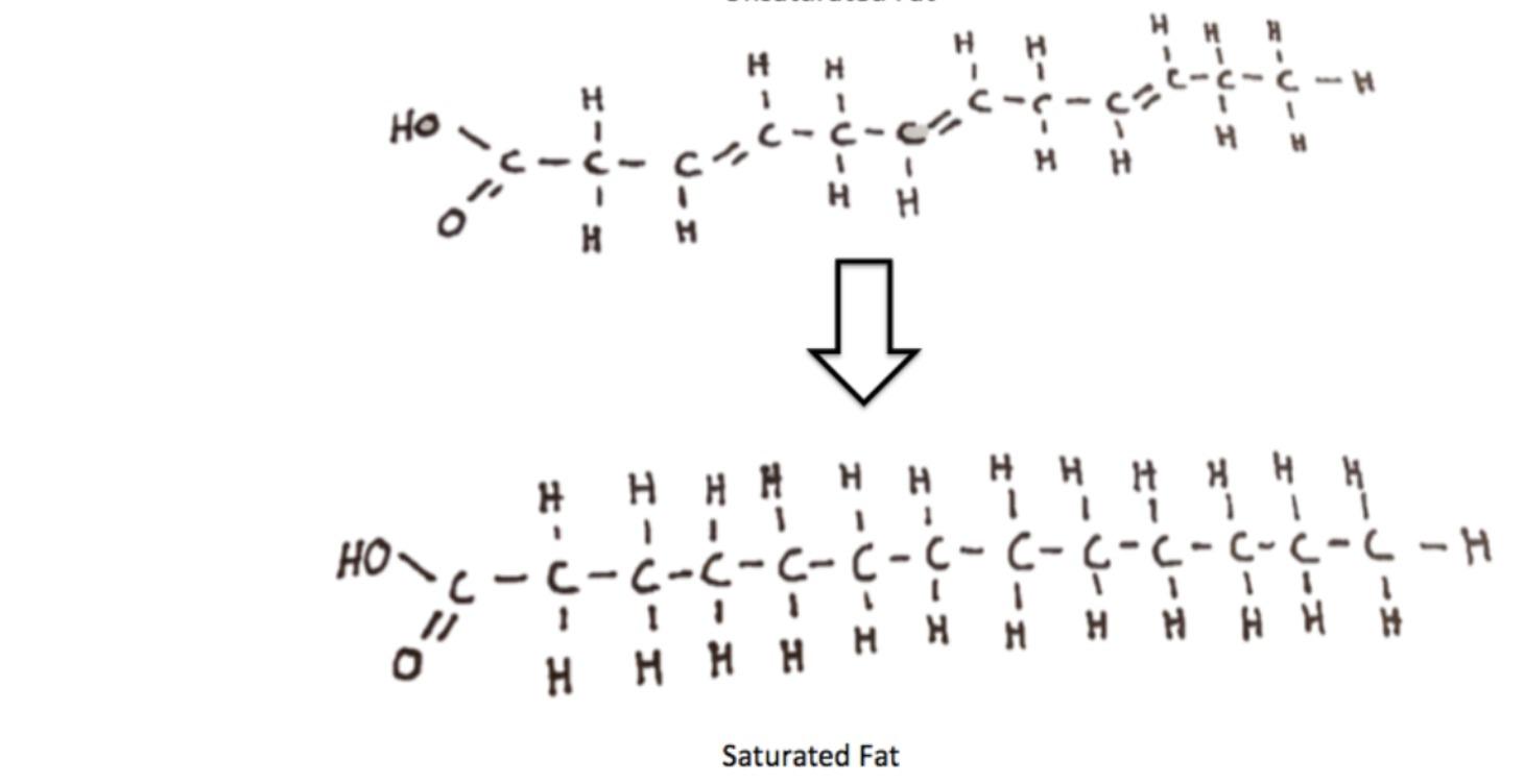 Accelerated Weight Loss Masterclass Part 1&2