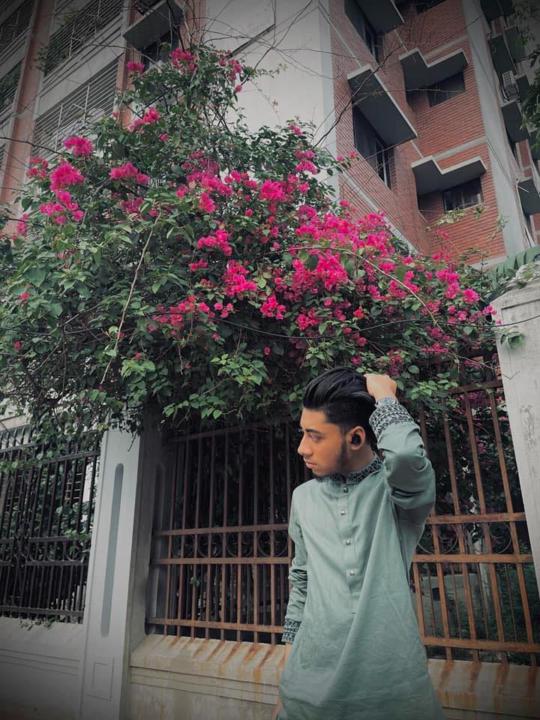 Ayed Alavey