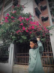 Ayed Alavey