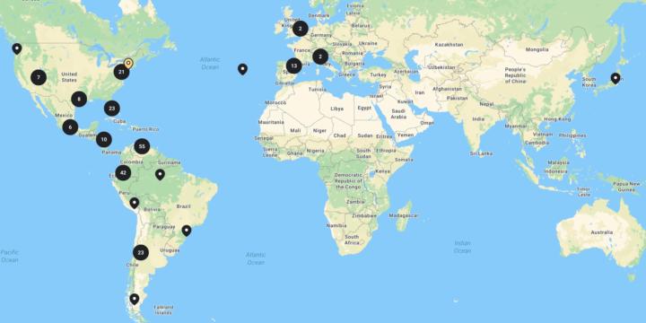 Team Dinámico NIVEL MUNDIAL 🗺️