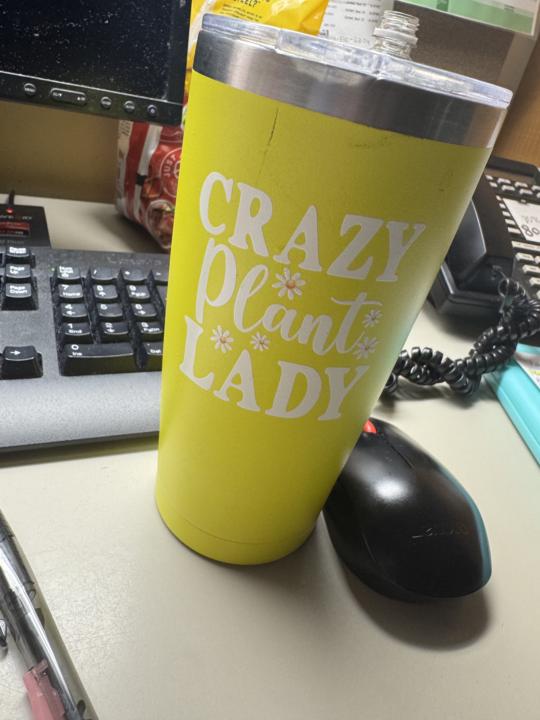 My favorite cup